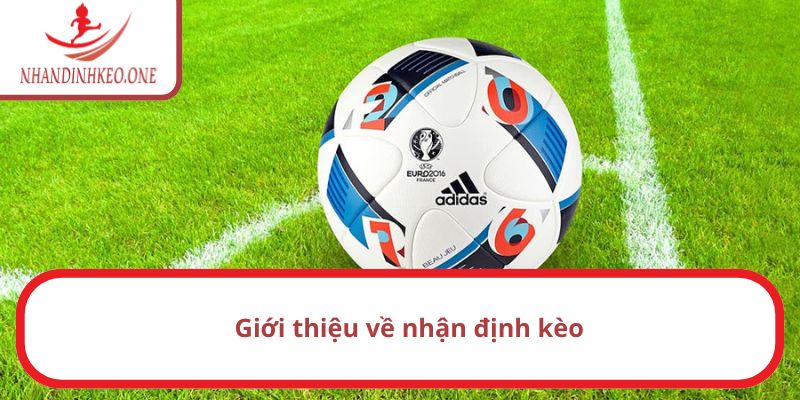 Trang chủ 14 Vài điều cơ bản về nhận định kèo