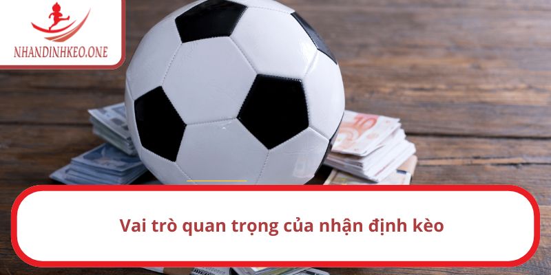 Trang chủ 15 Phân tích ý nghĩa của việc nhận định bóng đá
