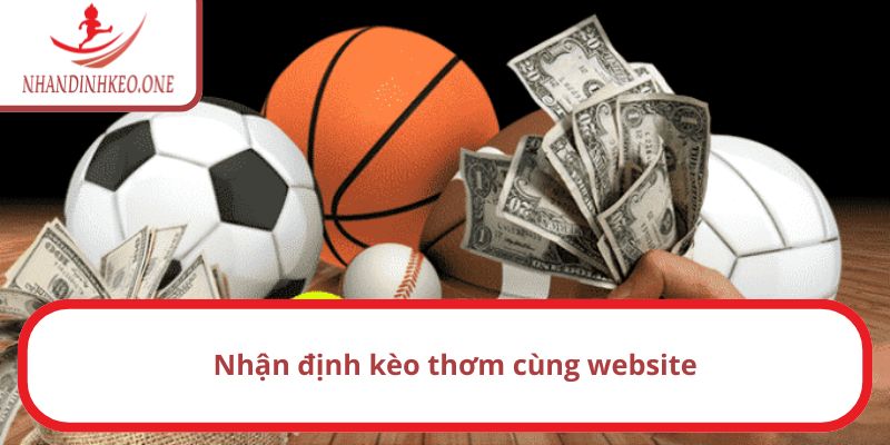 Trang chủ 20 Website nhận định về một loạt kèo thơm